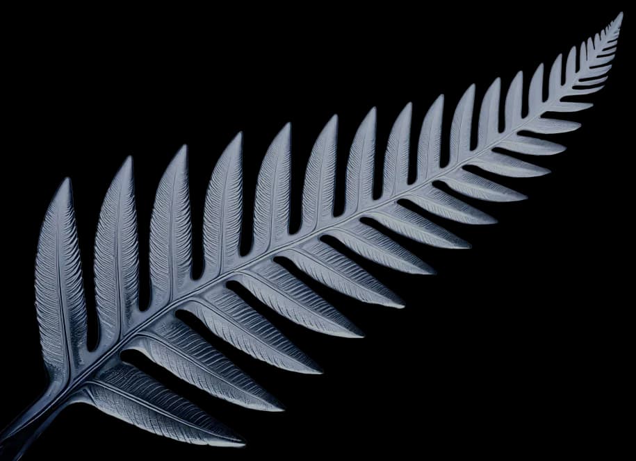 Silver Fern Background Image for Get Started Section